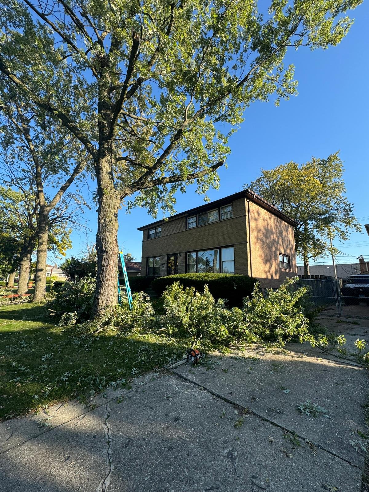 Imagen de WhatsApp 2025-02-14 a las 13.04.52_ce8663fb